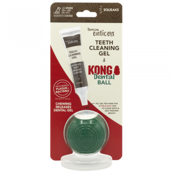 Enticers/KONG Dental Ball Kit for Large Dogs